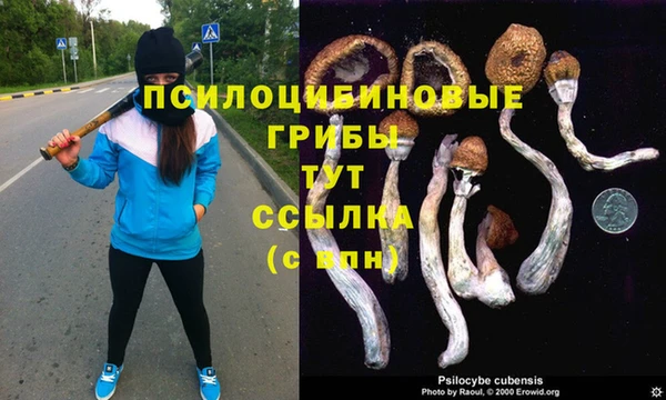 mdpv Балахна