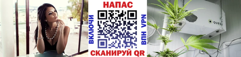 Марихуана сатива  Коммунар 